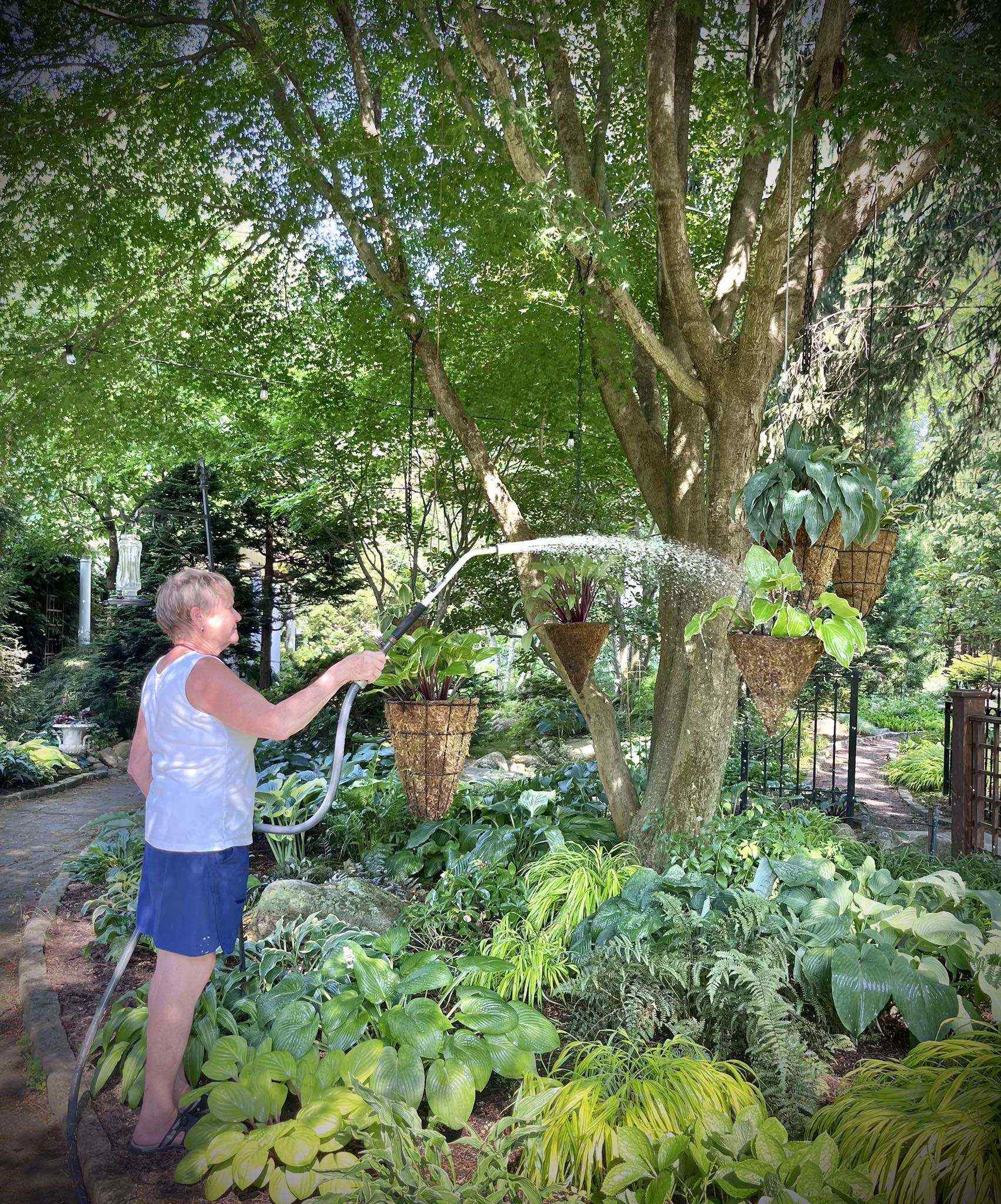 Watering on a 90F degree day