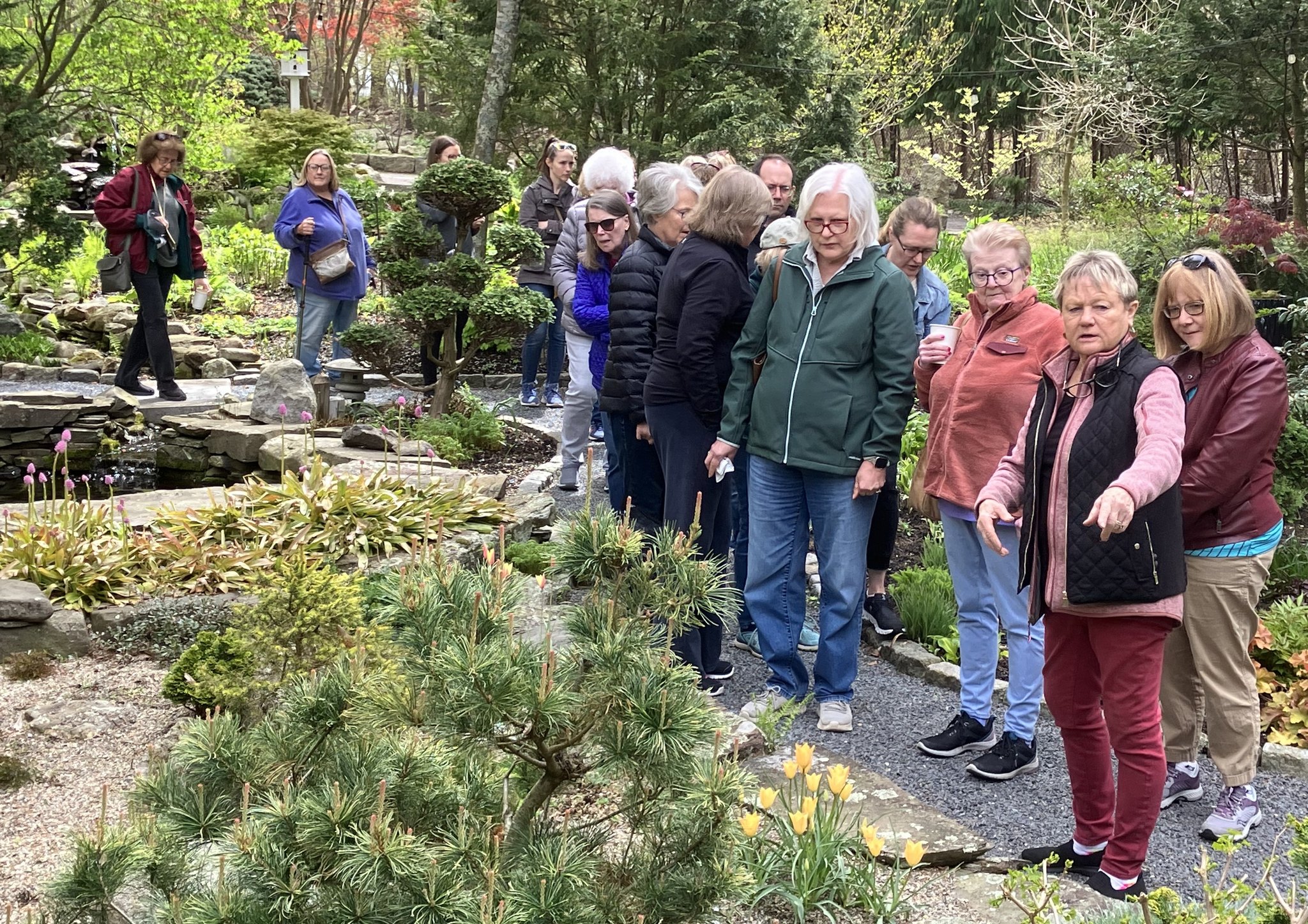 Sue giving a garden tour